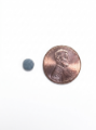 Picture of Round Magnet - 1/4" x 1/32" (6mm X 1mm)