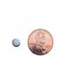 Picture of Round Magnet - 1/4" x 1/16" (6mm x 2mm)