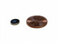 Picture of Round Magnet - 5/16" x 3/64" (8mm X 1.5mm)