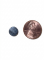 Picture of Round Magnet - 3/8" x 1/32" (10mm X 1mm)
